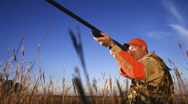 Can I Hunt Big Game With an Air Rifle?