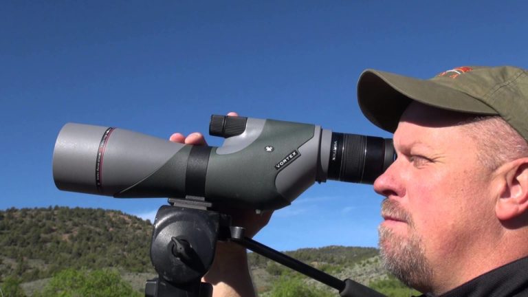 Best Scopes to Observing Big Game