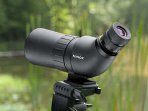 Best Scopes to Observing Big Game