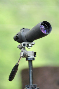 Best Scopes to Observing Big Game