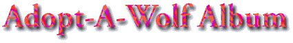 Album Text