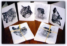 gift shop images