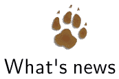 Upcomming Event Button