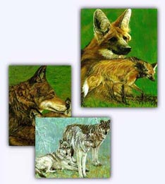gift shop images