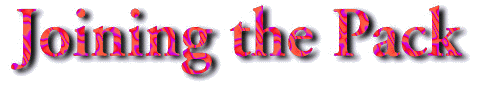 Member Text