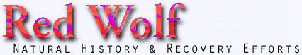 Red wolf Text