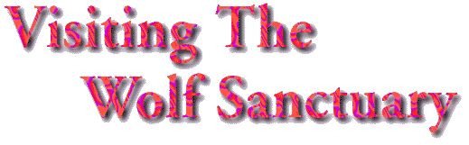 Visit The Wild Canid CenterText