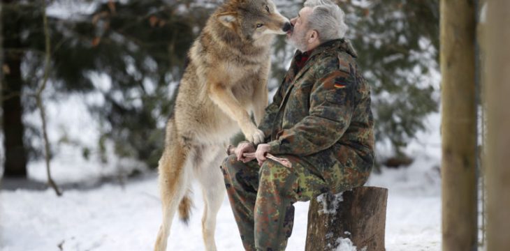 Stop The Unjustified Killing And Hunting of Montana’s Wolves