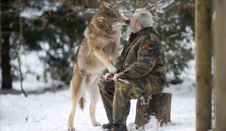 Stop The Unjustified Killing And Hunting of Montana’s Wolves